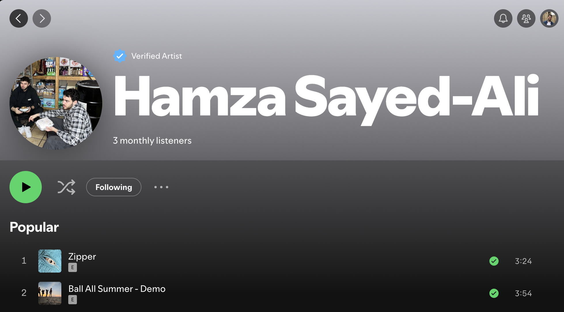 Spotify page screenshot of artist Hamza Sayed-Ali